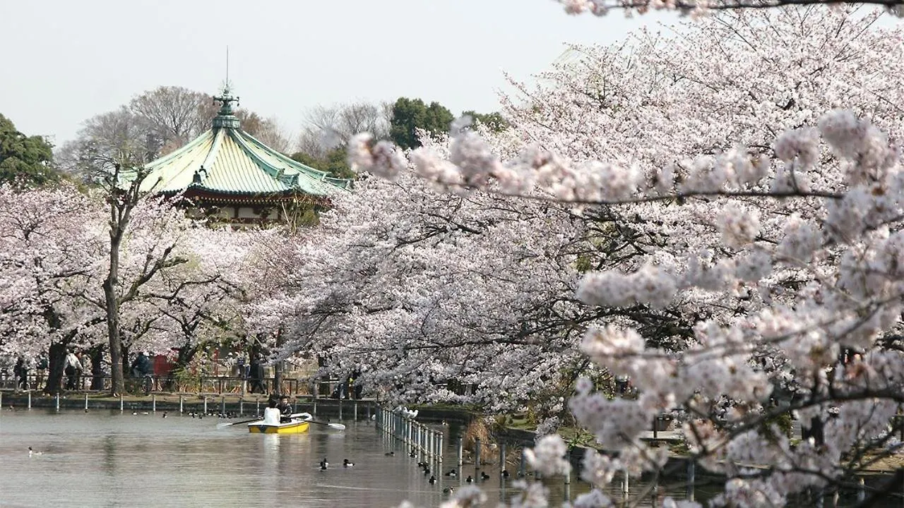 아파트 Ueno Station 7Min On Foot/Cozy Apartment/Convenient Location 도쿄